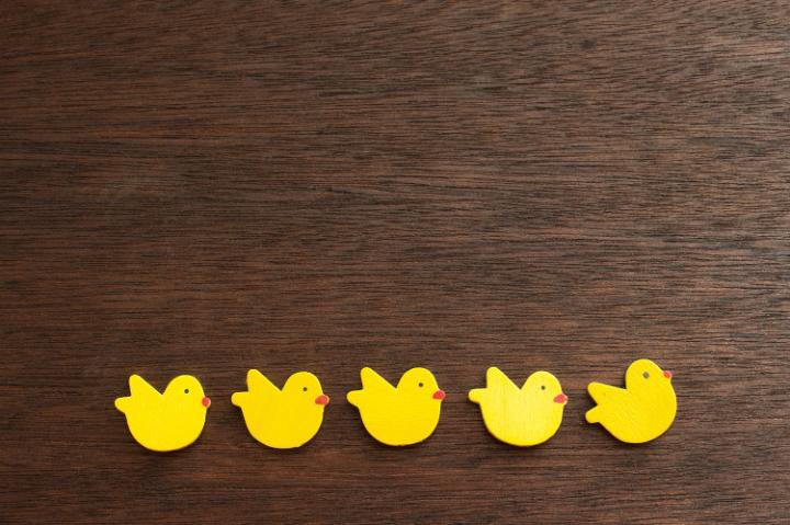 easter_chicken_wooden.jpg - Line of colorful yellow Easter chicks on a textured wood background forming a lower border with copy spce above for your holiday wishes