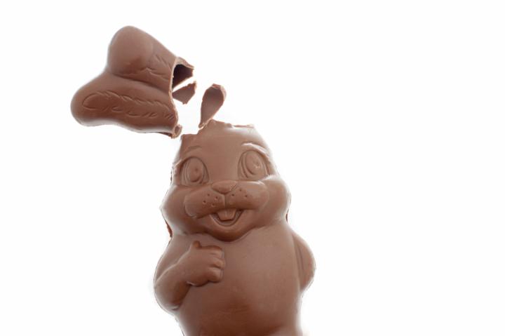 chocolate_easter_rabbit_broken.jpg - Broken little chocolate bunny Easter egg with the ears broken off lying face up on white with copy space