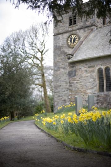 village_church.jpg - Path lined with cheerful yellow spring daffodils leading to a quaint old stone village church