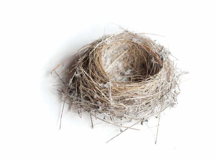 birds_nest.jpg - Small epmty bird's nest made of twigs and dried foliage on a white studio background