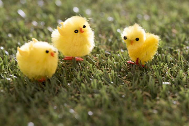 spring_chicks.jpg - Close up of three artificial tiny yellow chicks on green grass surface.