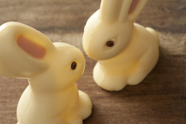 chocolate_bunnies.jpg - Two cute little white milky bunny Easter eggs sitting on a wooden table facing each other in a high angle view