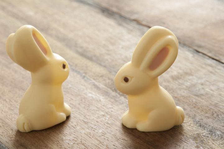 chocolate_easter_bunnies.jpg - Close up of two cute white chocolate easter bunnies on brown wooden surface