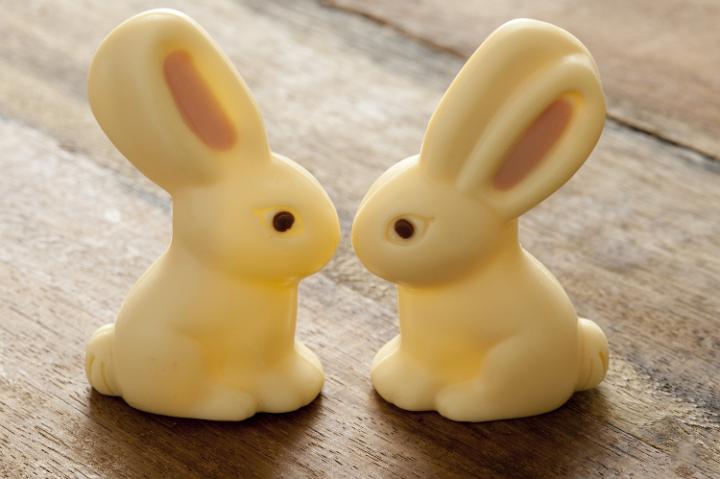 chocolate_rabbits.jpg - Close-up of two white chocolate Easter Bunny rabbits sitting on wooden surface close as if kissing