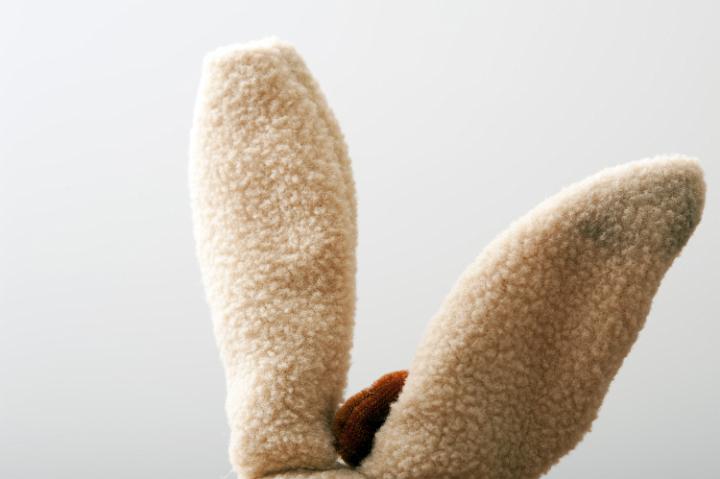 easter_bunny_ears.jpg - Close up view of fluffy tan stuffed toy bunny ears with a smudge against a light colored background