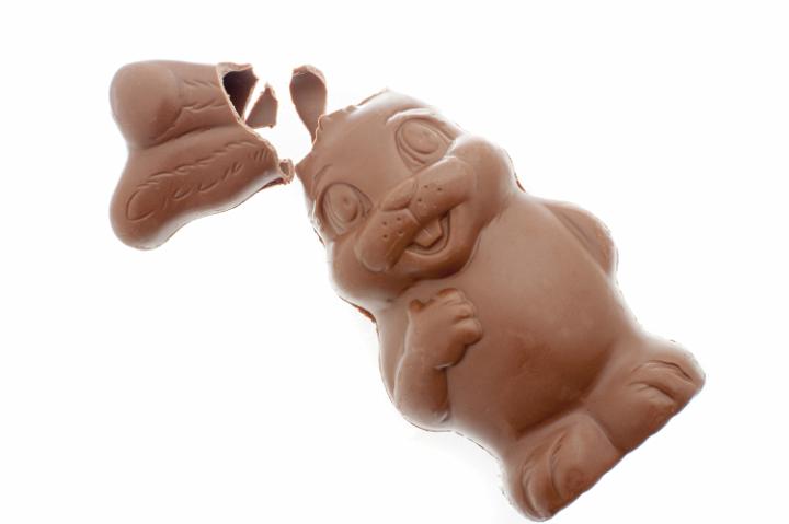 easter_chocolate_bunny.jpg - One broken hollow chubby chocolate candy bunny against a white background