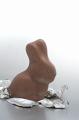 unwrapped_chocolate_rabbit