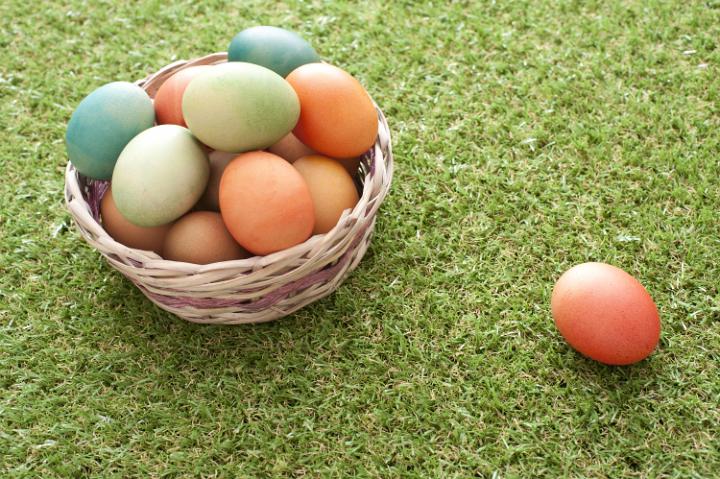easter_egg_hunt_basket.jpg - Basket of colorful handcrafted dyed Easter eggs outdoors on the grass with one laid off to the side viewed high angle with copy space