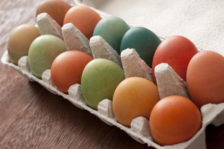 easter_hunt_eggs.jpg - Cardboard carton full of multicolored home dyed boiled Easter eggs for a healthy holiday celebration in a close up view