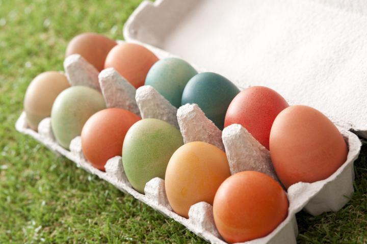 pace_eggs.jpg - Various colored Easter Eggs in open paper carton over green grass for holiday theme
