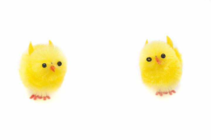easter_chick_yellow.jpg - Two cute little fluffy toy Easter chicks on a white studio background