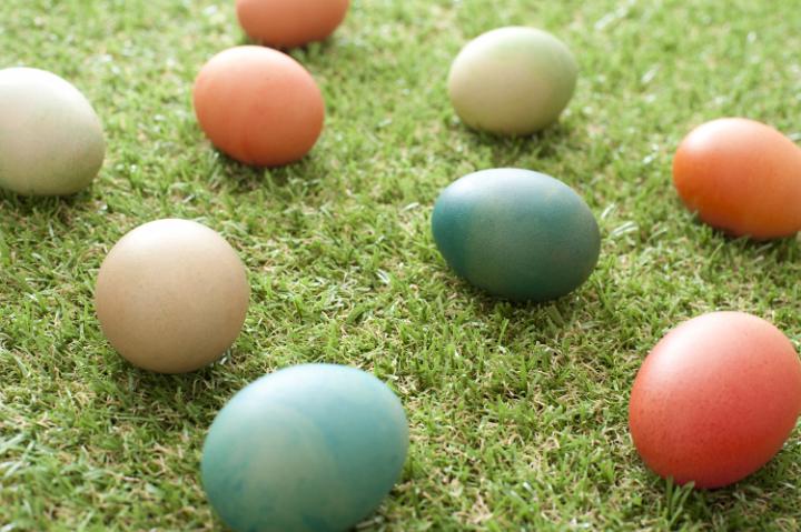 scattered_easter_eggs.jpg - Colorful homemade dyed Easter eggs scattered on fresh green spring grass for a festive traditional background